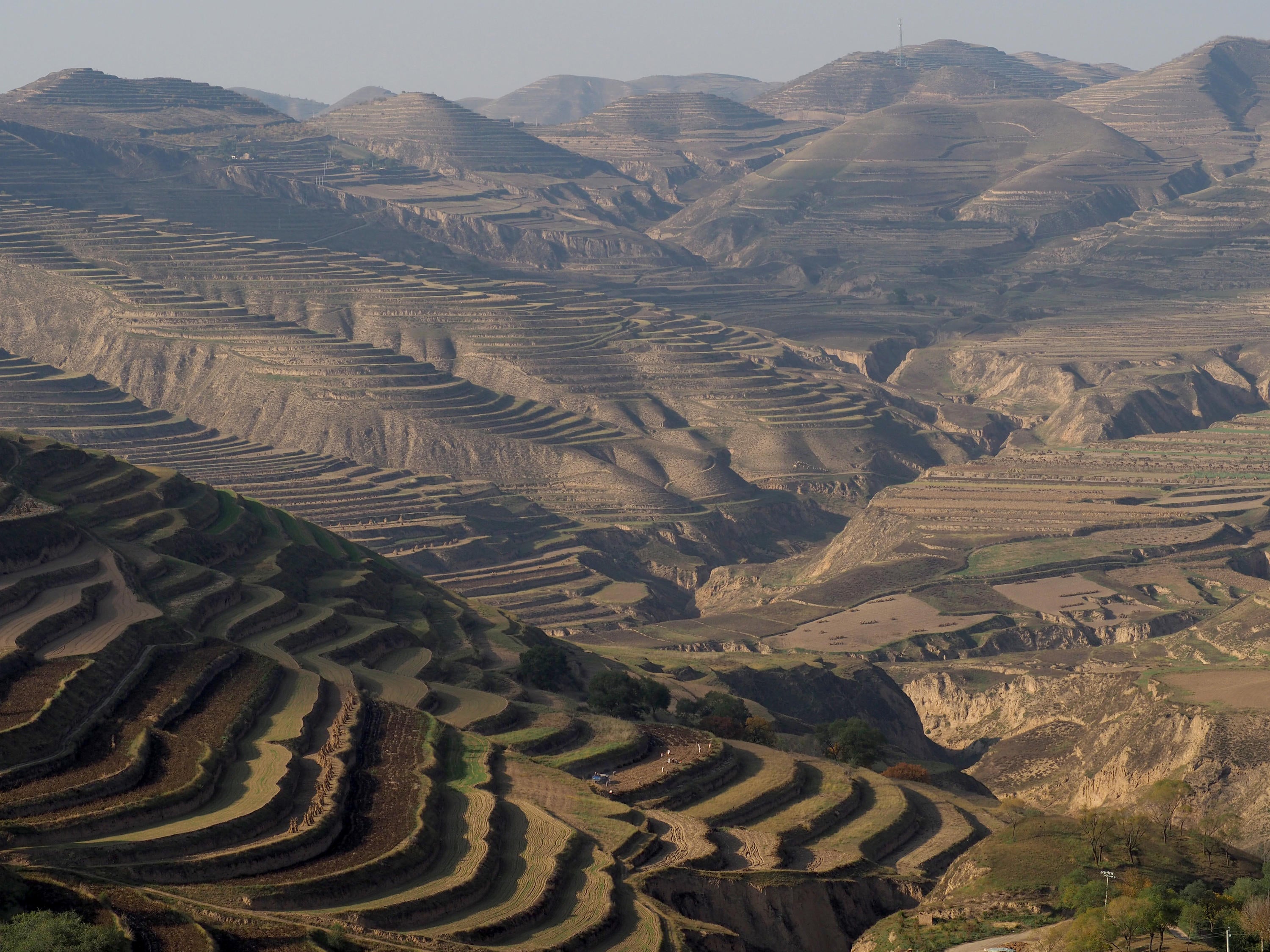 Terraces