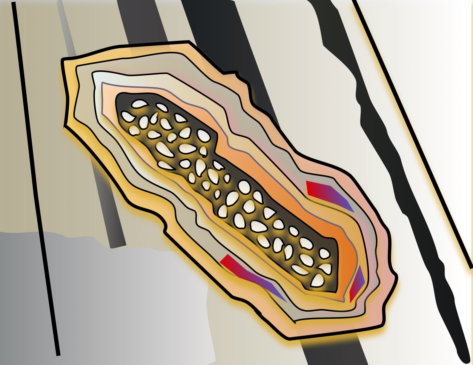 Illustration of a pocket of pebbly rock surrounded by layers of other rock