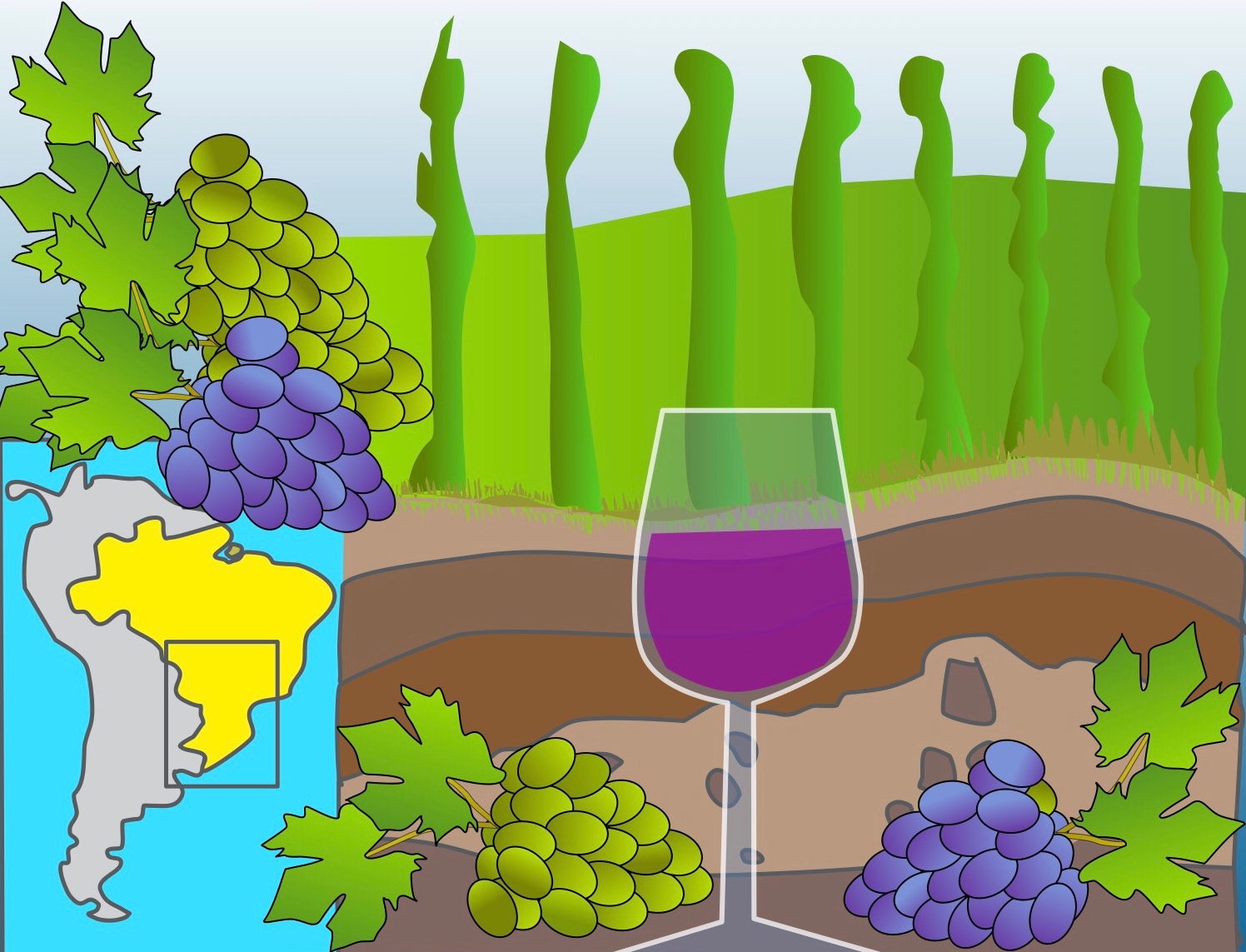 Illustration of a map showing Southern Brazil, alongside grapes and a glass of wine