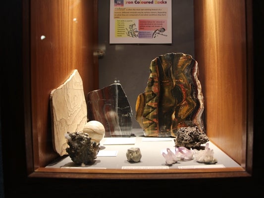 Rock specimens on display in the Earth Sciences Museum. 