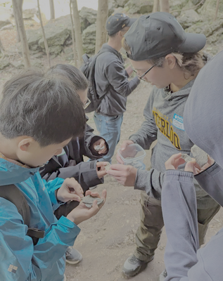 Students study rock samples in the field. 