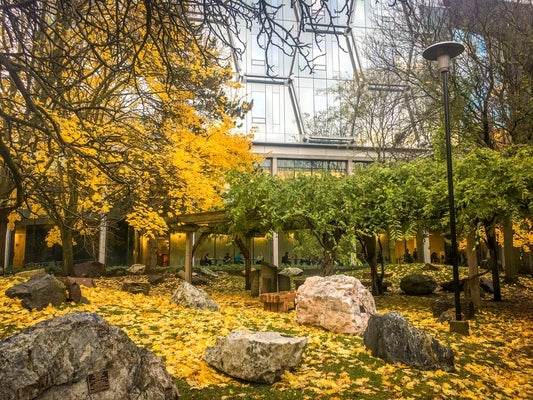 Peter Russell Rock Garden in autumn. 