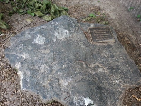 Cobalt-Nickel Vein from Cobalt, Ontario. 