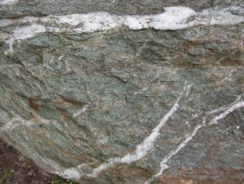 Carbonated basalt close up of gold veins within