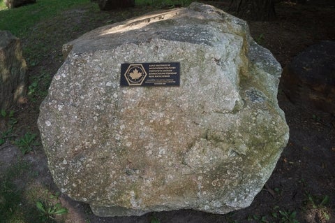 Matachewan porphyritic diabase in the Peter Russell Rock Garden