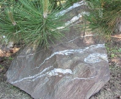 Carbonated Basalt with Quartz veins in the Peter Russell Rock Garden