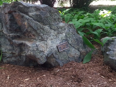 Quartz Carbonate Fuchite Serpentinite in the Peter Russell Rock Garden