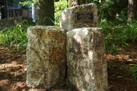 Columnar Dacite in the Peter Russell Rock Garden