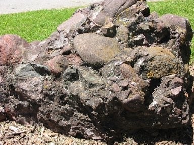 Keweenawan conglomerate in the Peter Russell Rock Garden