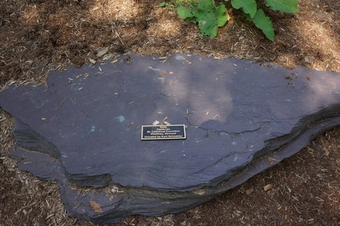 Slate in the Peter Russell Rock Garden