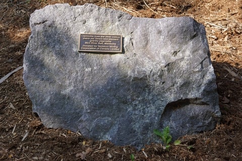 Lepidolite in the Peter Russell Rock Garden