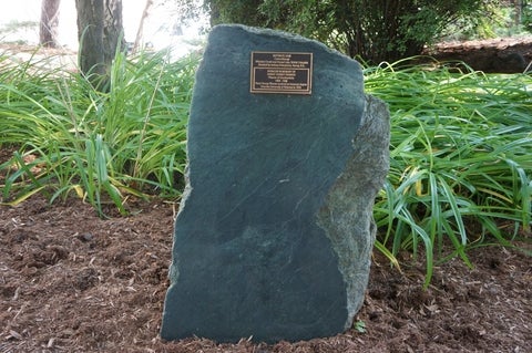 Nephrite jade in the Peter Russell Rock Garden