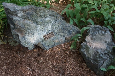 Serpentinite in the Peter Russell Rock Garden