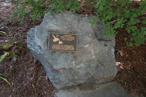 Labradorite in the Peter Russell Rock Garden