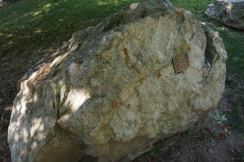 Sodalite syenite in the Peter Russell Rock Garden