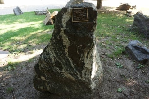 Calcite Garnet Pyrite Pyroxene Skarn in the Peter Russell Rock Garden