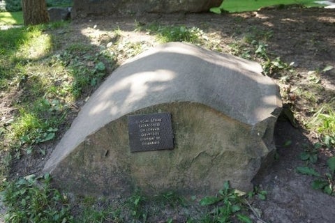 Glacial striae on quartzite in the Peter Russell Rock Garden