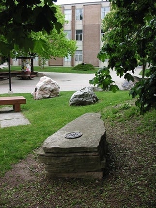 Eramosa Dolostone in the Peter Russell Rock Garden from a side angle.