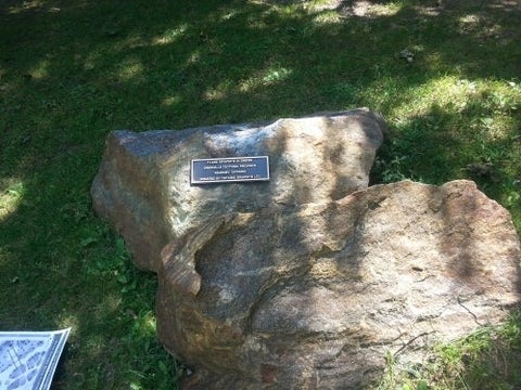 Flake graphite in gneiss in the Peter Russell Rock Garden