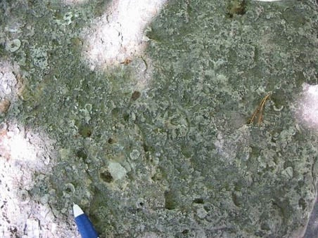 A close up of the Frank Slide boulder 