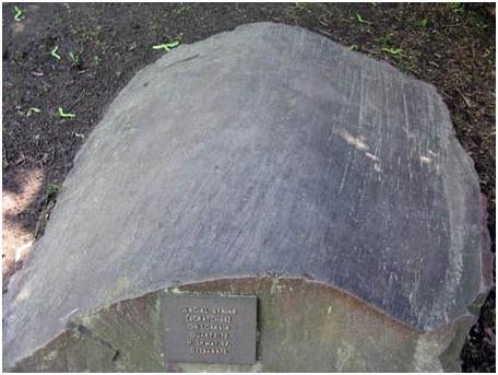 Top view showing glacial striae on quartzite