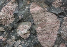 A closeup of the Gowganda conglomerate showing rounded boulders and pebbles of pink granite and other rocks in a fine grained grey mud. 