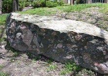 The Gowganda conglomerate in the Peter Russell Rock Garden