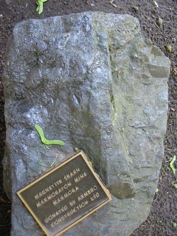 Magnetite skarn in the Peter Russell Rock Garden (top view)