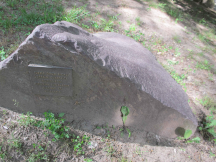 Purple quartzite in the Peter Russell Rock Garden