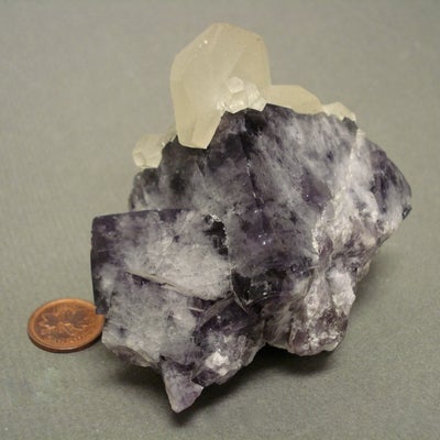 Poker Chip Calcite on Fluorite next to a penny for size comparison