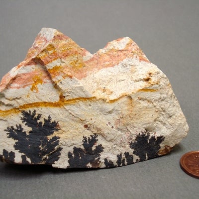 Sandstone with Dendrites next to a penny for size comparison