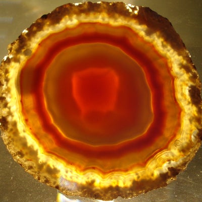 Agate slab; very red in the centre and yellow on the outer edge