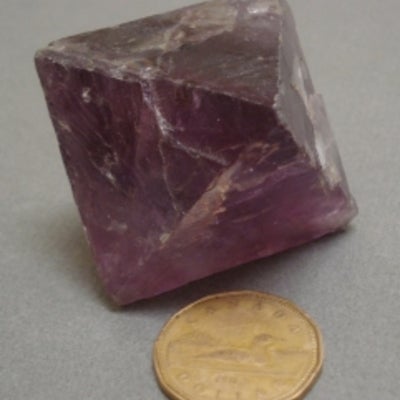 Fluorite next to loonie for comparison