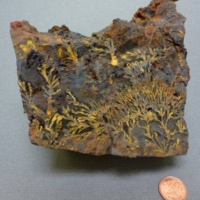 Goethite next to a penny for size comparison.