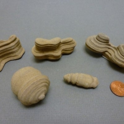several different pieces of Dolostone next to a penny for size comparison