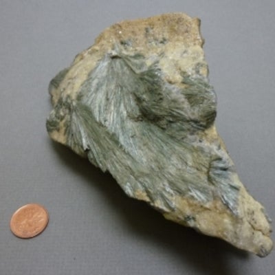 Actinolite next to a penny for size comparison