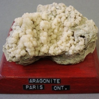 Aragonite mounted on a wood base with a label