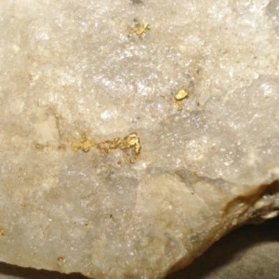 Gold in Quartz close-up