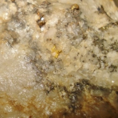 darker Gold in Quartz close-up