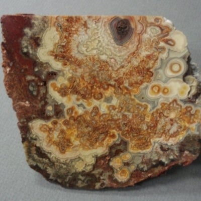 Mexican Lace Agate 