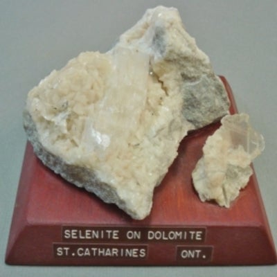 Selenite on dolomite mounted on a wood base with a label