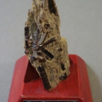 Tourmaline mounted on a wood base with a label