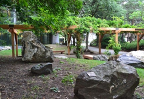 Image from Peter Russell Rock Garden