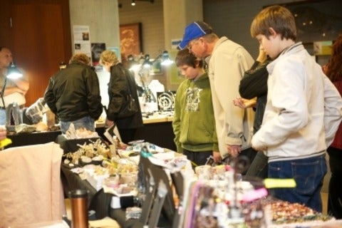Visitors looking at gems and minerals at the Gem and Mineral Show