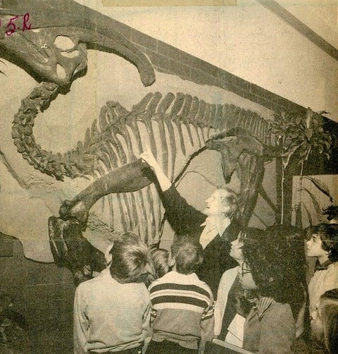 Frank Brookfield pointing at a Parasauolophus dinosaur skeleton in the 1970's