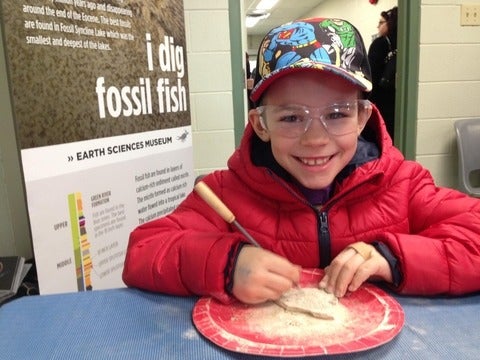 Child digging in a real rock for fossil fish.