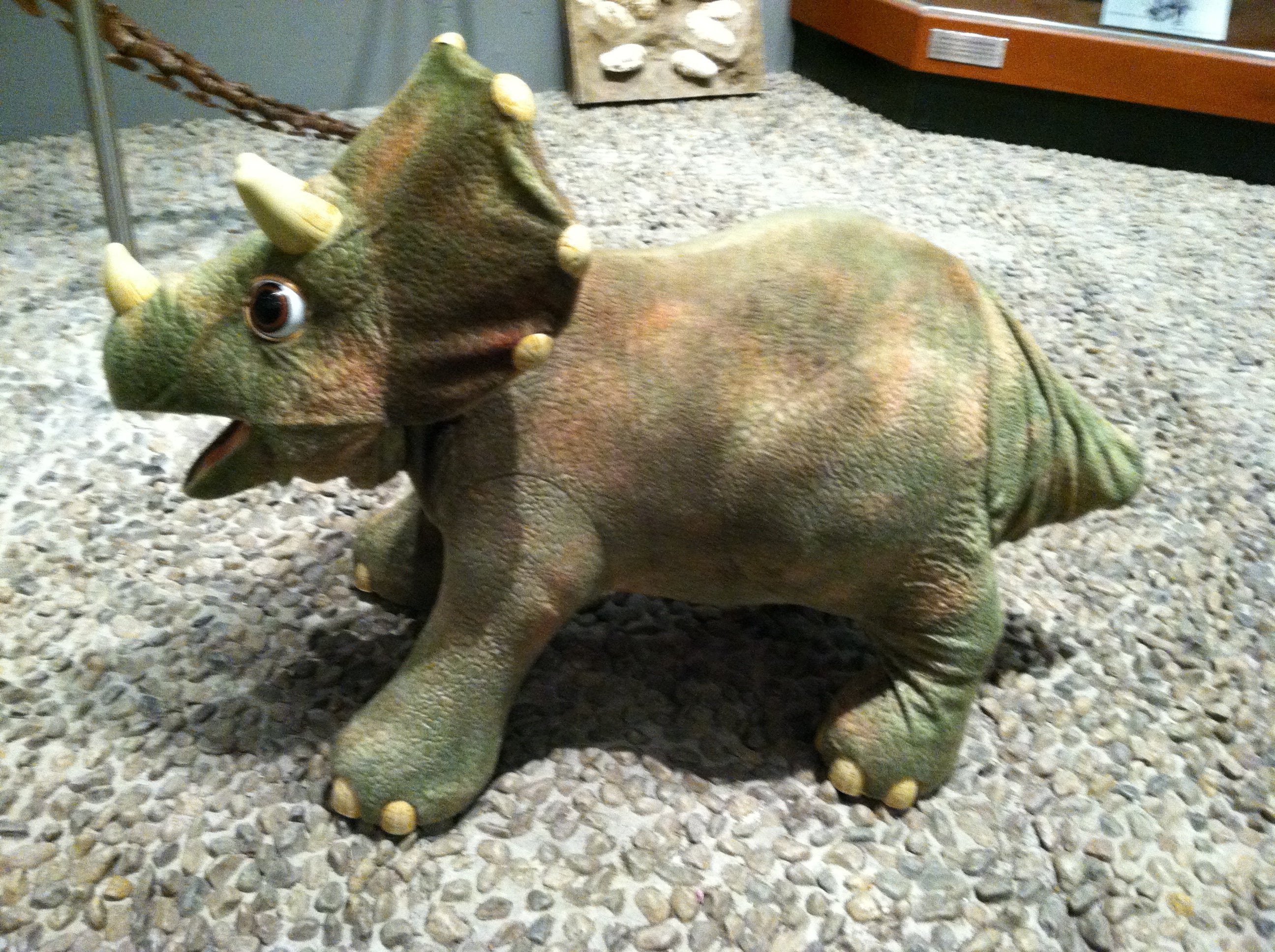 Triceratops toy