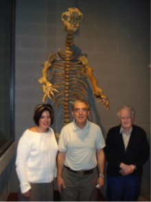 Fossil of a cave bear towering over three adult museum visitors.