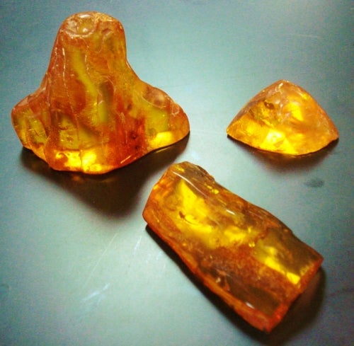 pieces of orange amber