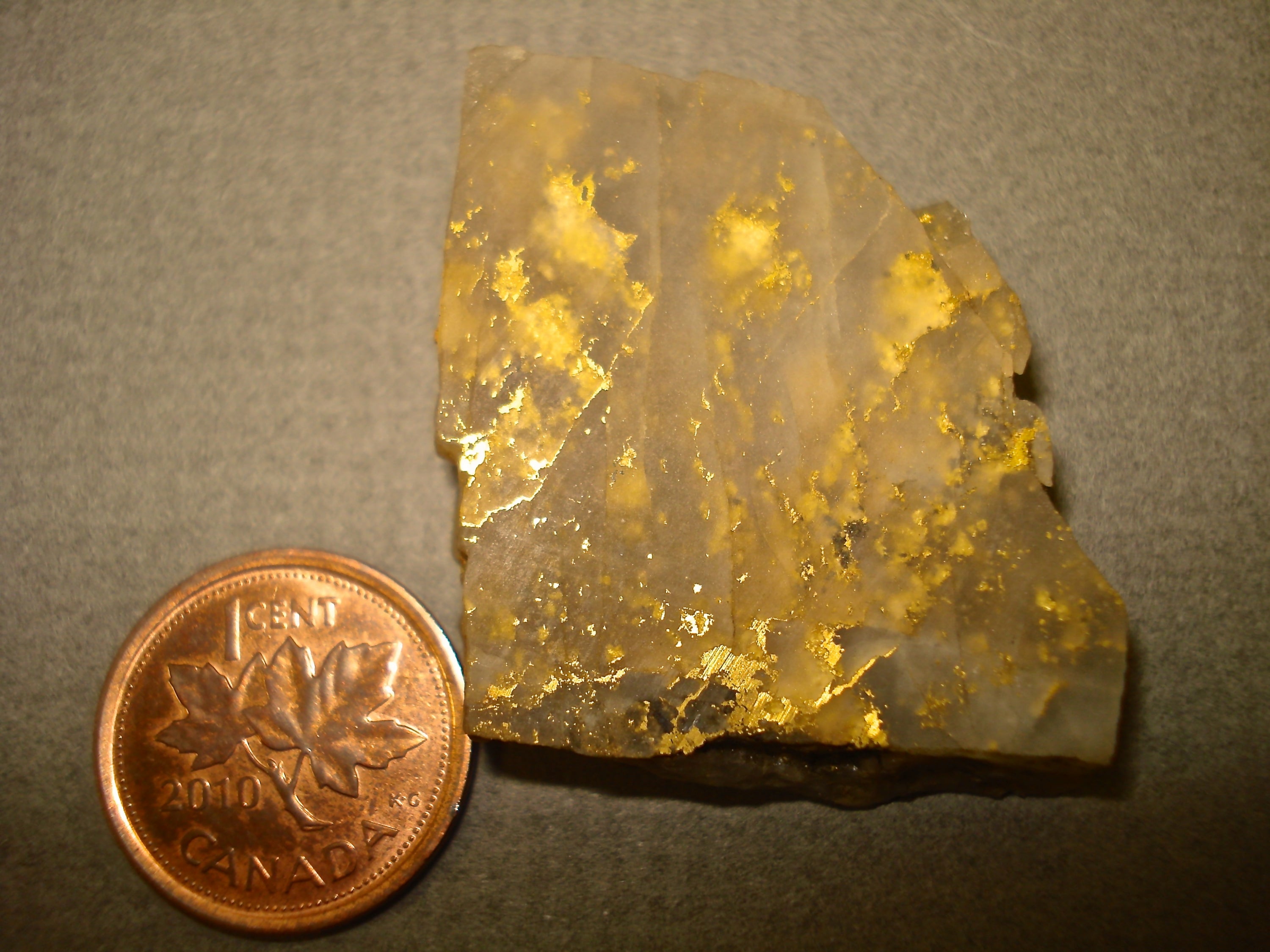 Gold in Quartz next to a penny for size comparison